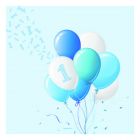 Carta & Company Tutto per il Party |  TOVAGLIOLI PRIMO COMPLEANNO BIMBA PZ. 20