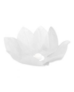 FIORE GALLEGIANTE BIANCO PZ. 1