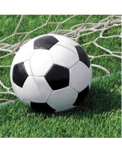 TOVAGLIOLO CALCIO FANATIC SOCCER PZ. 20
